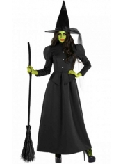Wicked Witch West Costume - Womens Halloween Costumes